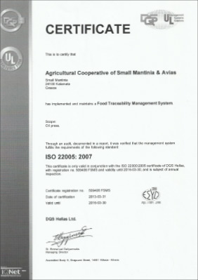 DQS Zertifikat